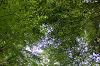 camp30 (174)_thumb.png